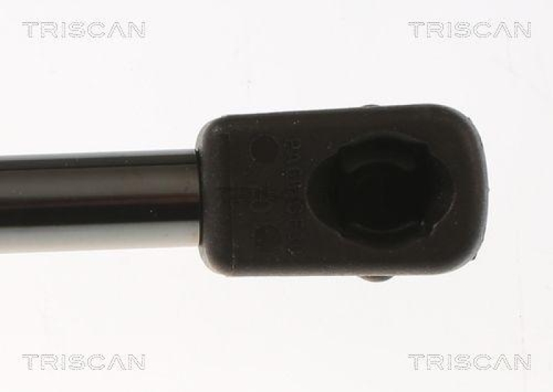 TRISCAN 8710 80204 Gasfeder Hinten für Chrysler 300C Touring