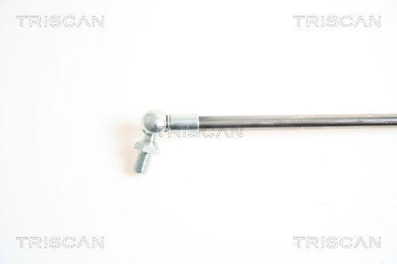 TRISCAN 8710 18210 Gasfeder Hinten f&uuml;r Kia Sephia, Shuma