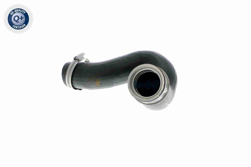 VAICO V10-2837 Ladeluftschlauch f&uuml;r VW
