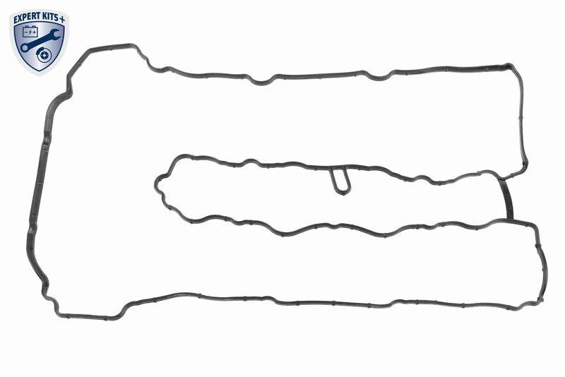 VAICO V20-10020 Steuerkettensatz Kurbel-/ Nockenwelle, Geschlossen für BMW