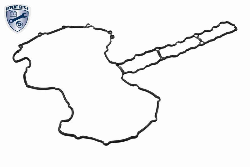 VAICO V20-10027 Steuerkettensatz Kurbel-/ Nockenwelle, Geschlossen für BMW