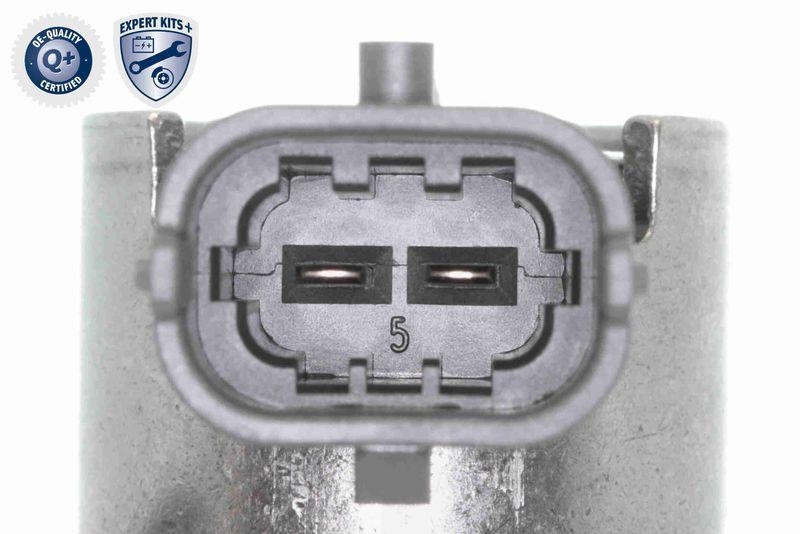 ACKOJA A52-25-0006-1 Hochdruckpumpe mit Stößel / mit Schrauben für HYUNDAI