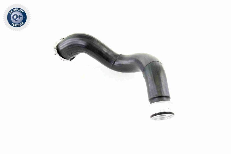 VAICO V10-2879 Ladeluftschlauch f&uuml;r VW