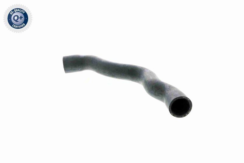 VAICO V30-1575 K&uuml;hlerschlauch f&uuml;r MERCEDES-BENZ