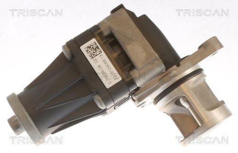 TRISCAN 8813 10053 Agr Ventil f&uuml;r Psa, Ford, Volvo