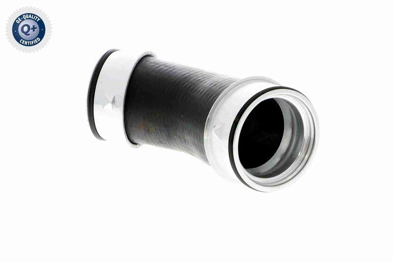 VAICO V10-2900 Ladeluftschlauch f&uuml;r VW