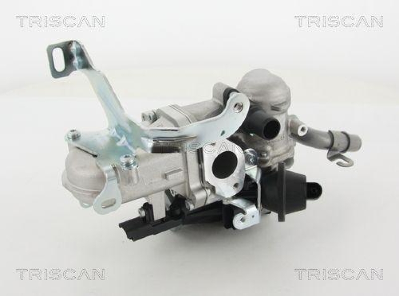 TRISCAN 8813 10103 Agr Ventil f&uuml;r Volvo/Ford/Psa
