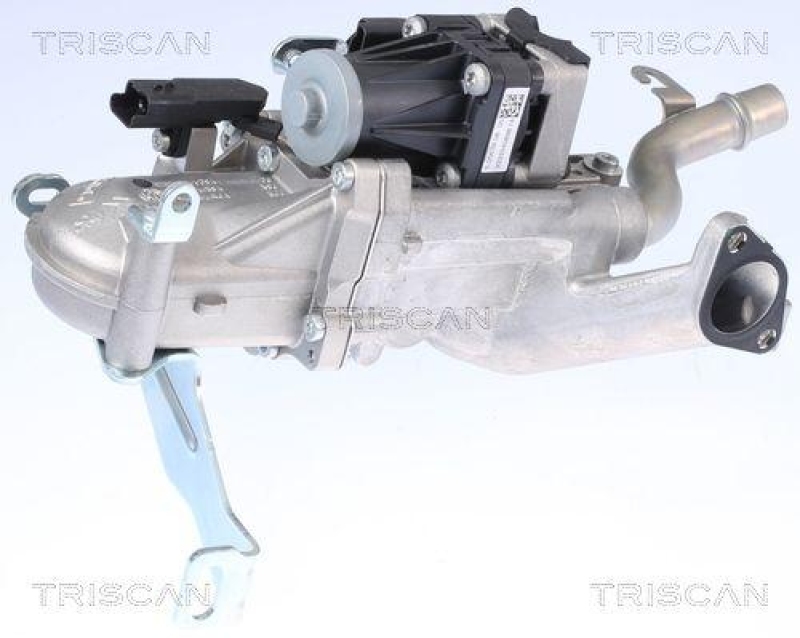 TRISCAN 8813 10106 Agr Ventil f&uuml;r Psa, Volvo, Ford