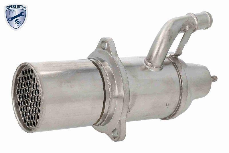 VEMO V10-63-0189 K&uuml;hler, Abgasr&uuml;ckf&uuml;hrung ohne Agr-Ventil f&uuml;r VW