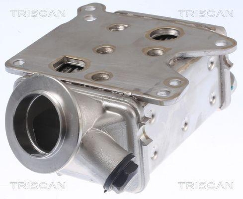 TRISCAN 8813 10113 K&uuml;hler, Abgasr&uuml;ckf&uuml;hrung f&uuml;r Alfa, Fiat, Opel