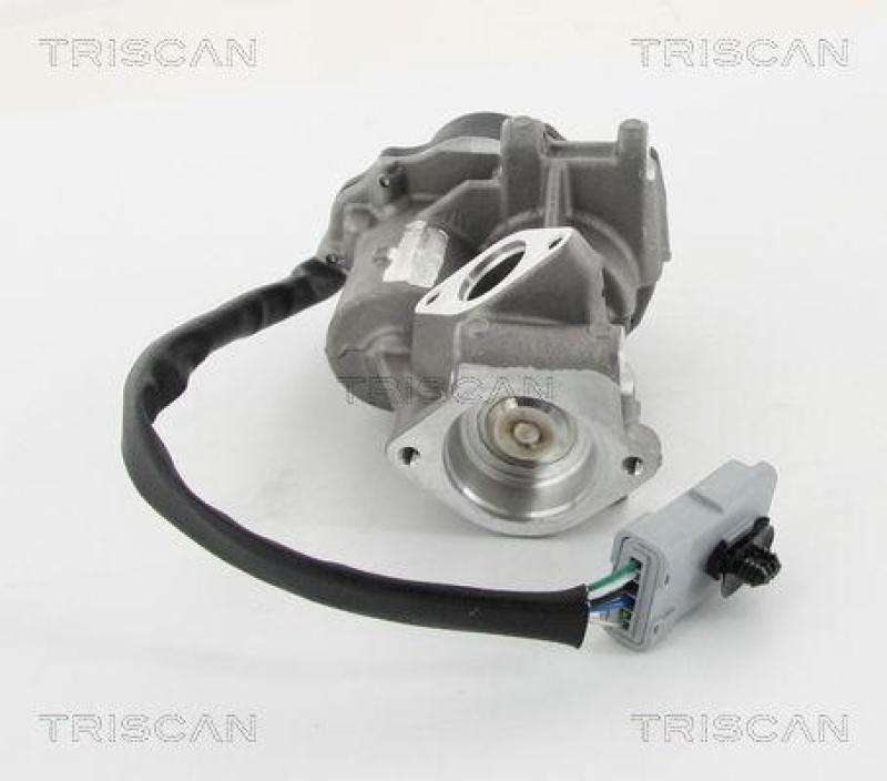 TRISCAN 8813 10202 Agr Ventil f&uuml;r Landrover Ford