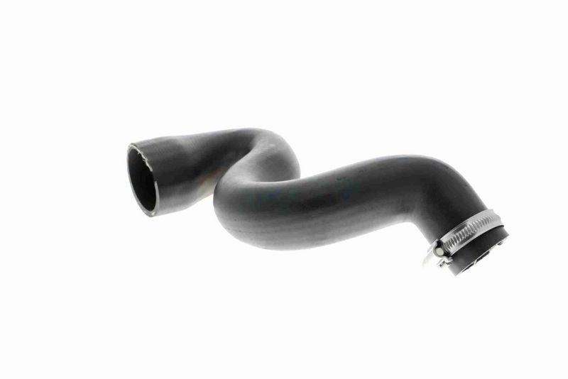 VAICO V10-2917 Ladeluftschlauch für VW