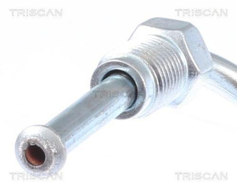 TRISCAN 8150 29188 Bremsschlauch Vorne f&uuml;r Audi