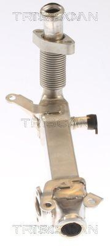 TRISCAN 8813 11019 K&uuml;hler, Abgasr&uuml;ckf&uuml;hrung f&uuml;r Bmw