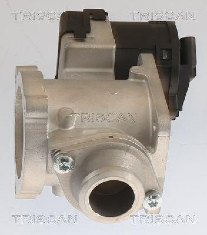 TRISCAN 8813 11020 Agr Ventil f&uuml;r Bmw