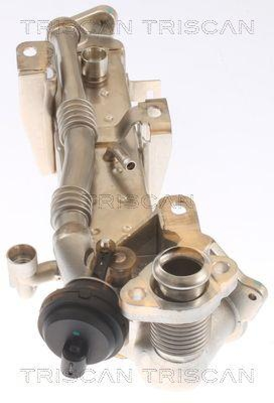 TRISCAN 8813 11021 f&uuml;r Bmw