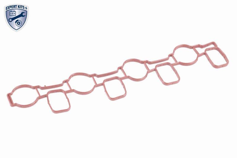 VAICO V10-5269 Saugrohrmodul f&uuml;r VW