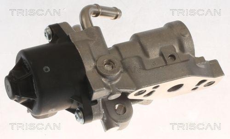 TRISCAN 8813 13070 Agr Ventil f&uuml;r Toyota, Psa