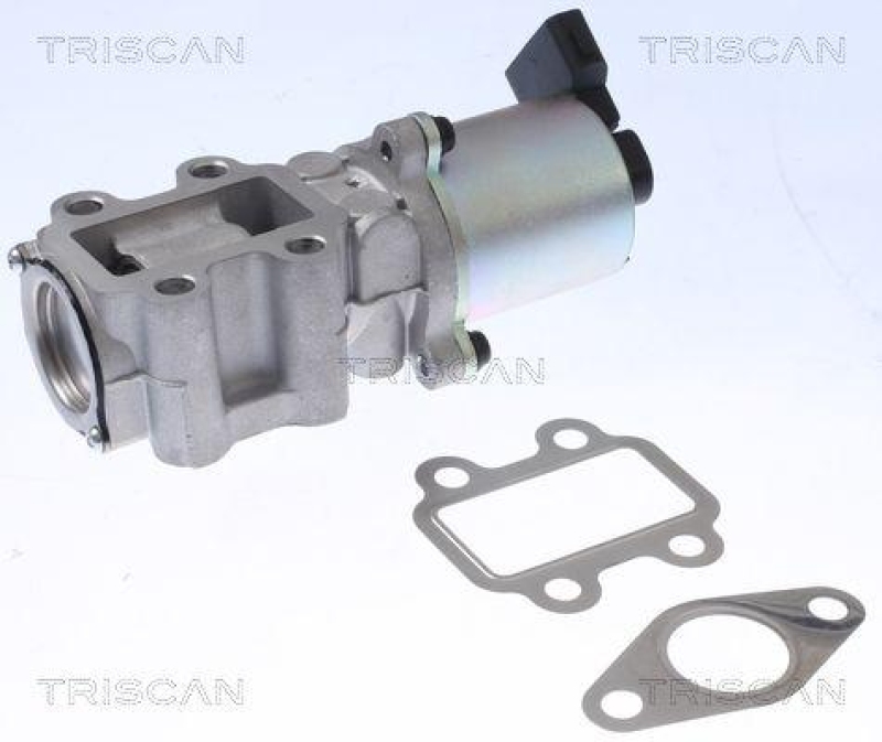 TRISCAN 8813 13100 Agr Ventil f&uuml;r Toyota