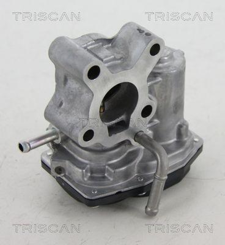 TRISCAN 8813 13200 Agr Ventil f&uuml;r Toyota