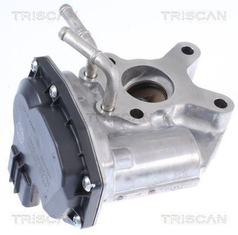 TRISCAN 8813 14015 Agr Ventil f&uuml;r Nissan