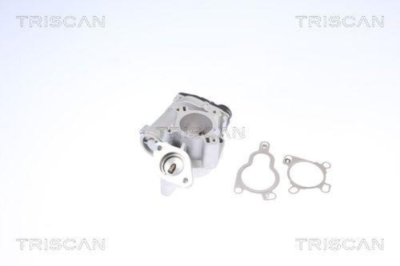 TRISCAN 8813 14025 Agr Ventil f&uuml;r Nissan