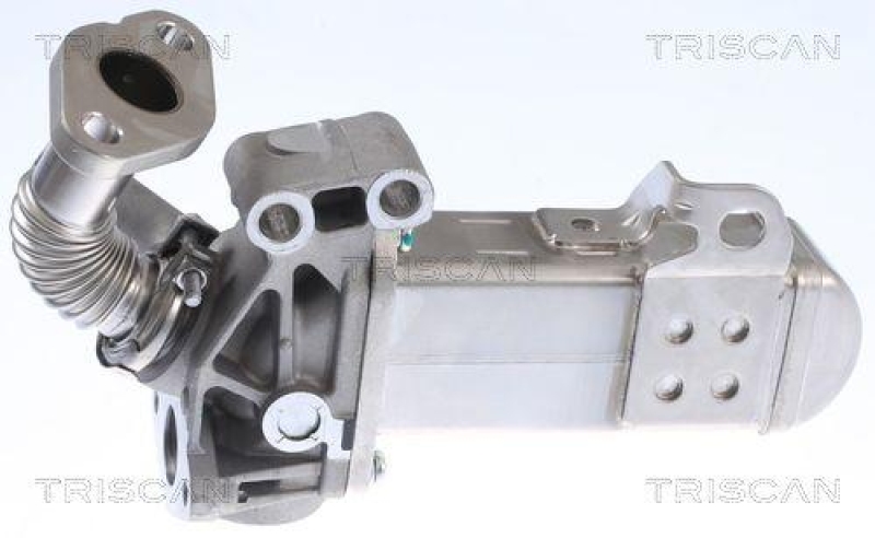 TRISCAN 8813 14031 K&uuml;hler, Abgasr&uuml;ckf&uuml;hrung f&uuml;r Nissan