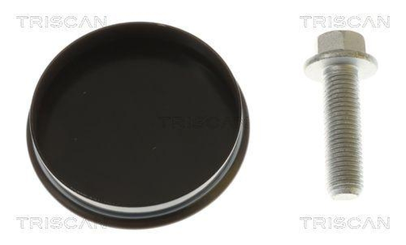 TRISCAN 8530 83201 Radlagersatz Hinten f&uuml;r Maxus Euniq , E-Deliver 3