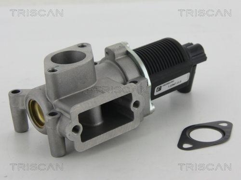 TRISCAN 8813 15063 Agr Ventil f&uuml;r Fiat/Psa