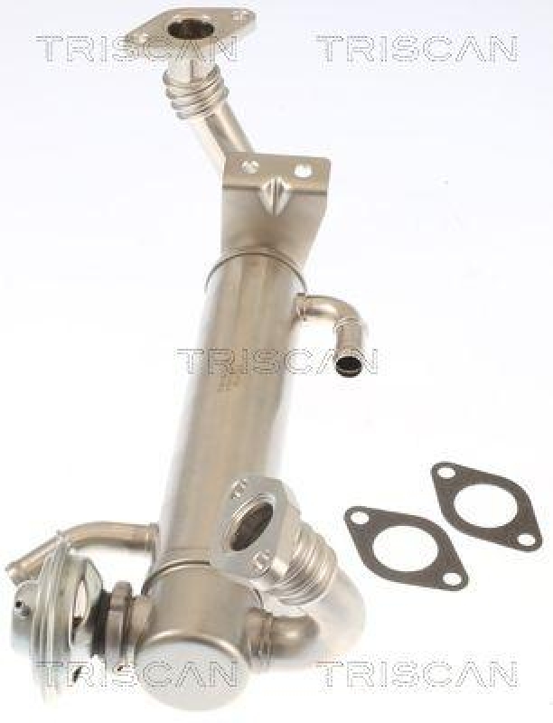 TRISCAN 8813 15074 Agr Ventil f&uuml;r Fiat, Iveco