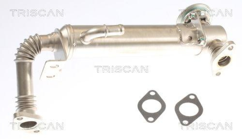 TRISCAN 8813 15075 f&uuml;r Fiat Ducato