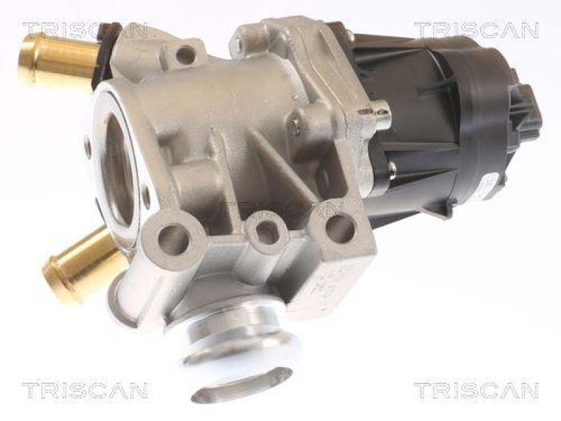 TRISCAN 8813 15076 Agr Ventil f&uuml;r Fiat Ducato