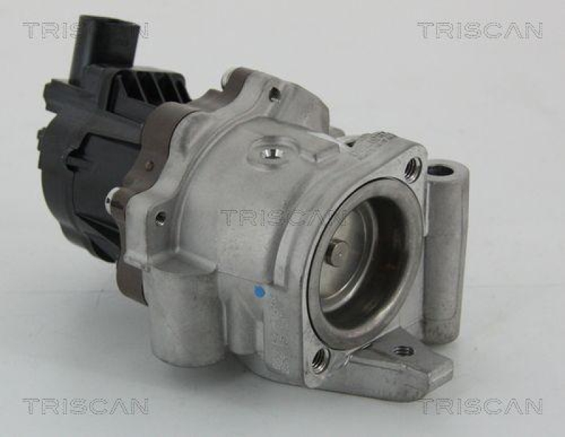TRISCAN 8813 15207 Agr Ventil f&uuml;r Fiat