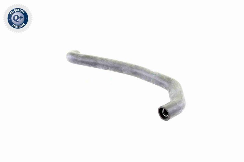 VAICO V30-0705 K&uuml;hlerschlauch K&uuml;hler, Anschlu&szlig; unten f&uuml;r MERCEDES-BENZ