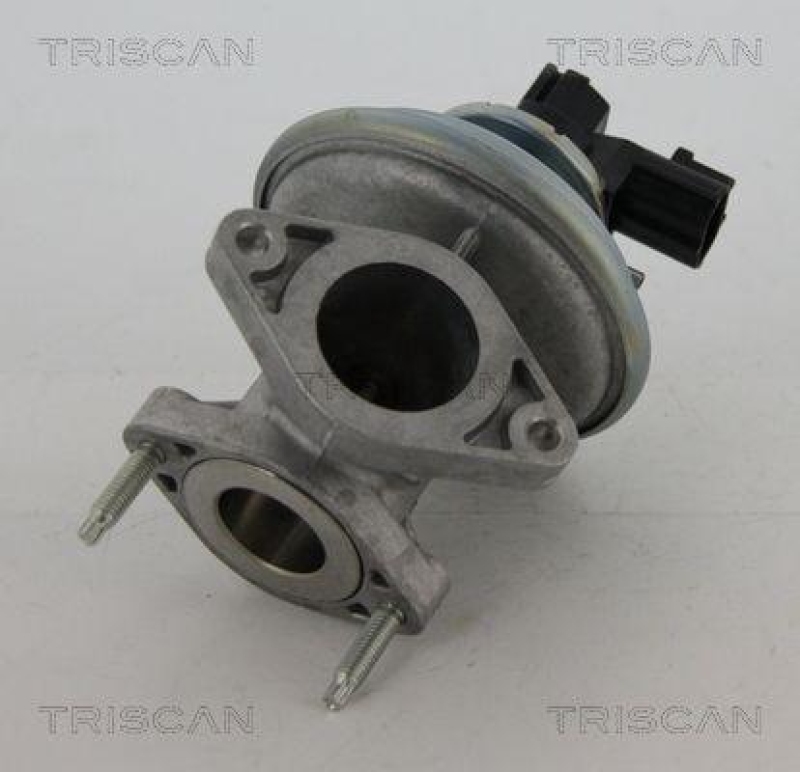 TRISCAN 8813 16045 Agr Ventil f&uuml;r Ford/Volvo/Mazda