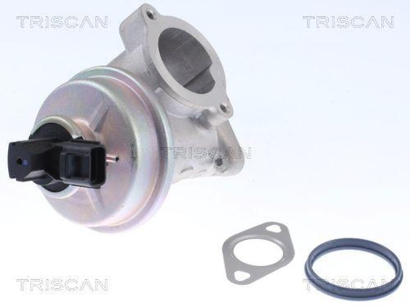 TRISCAN 8813 16054 Agr Ventil f&uuml;r Ford/Volvo/Mazda