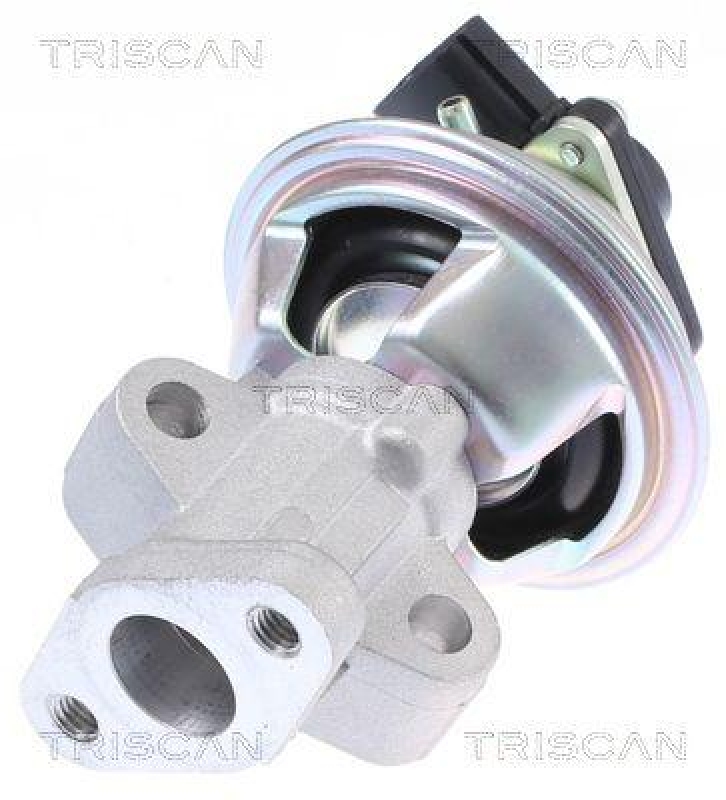 TRISCAN 8813 16069 Agr Ventil f&uuml;r Ford/Landrover