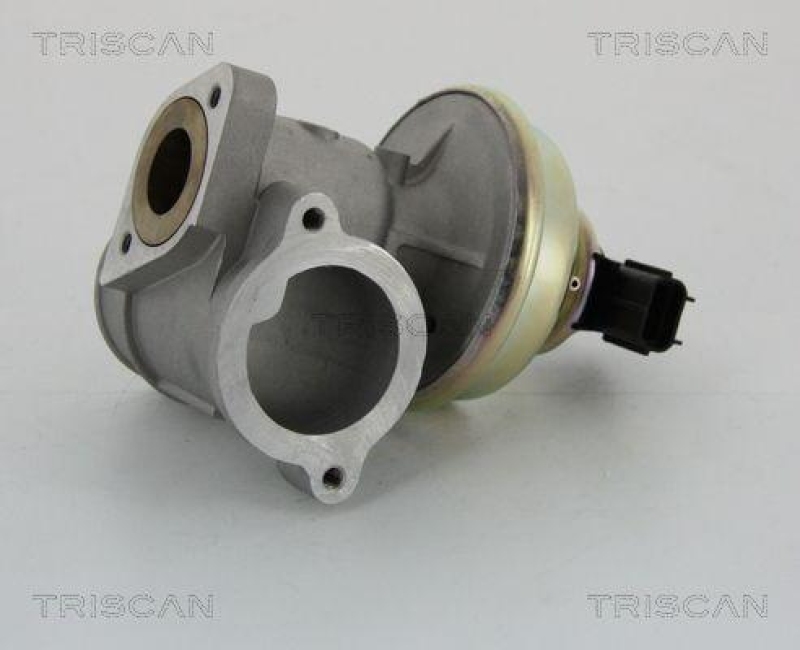 TRISCAN 8813 16102 Agr Ventil f&uuml;r Ford