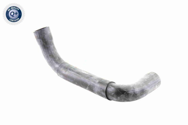 VAICO V30-0718 K&uuml;hlerschlauch K&uuml;hler, Anschlu&szlig; unten f&uuml;r MERCEDES-BENZ