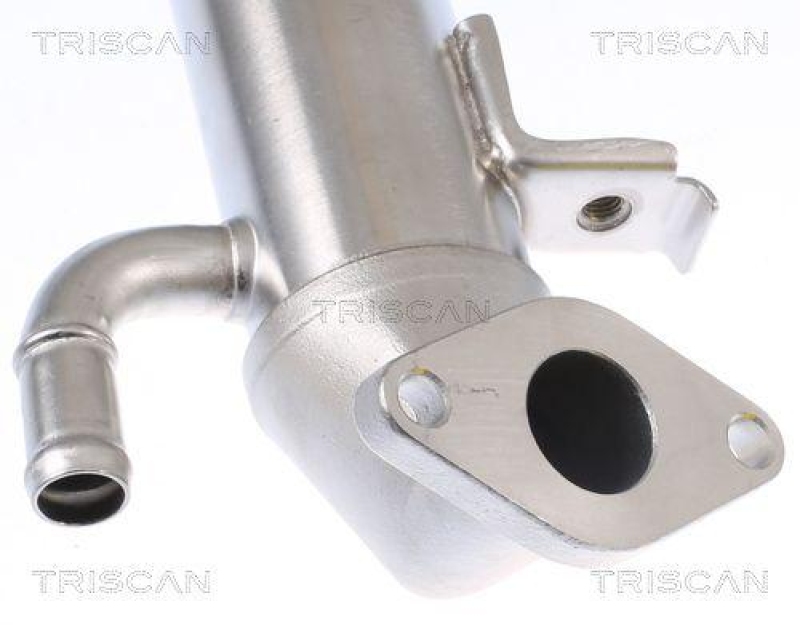 TRISCAN 8813 16104 K&uuml;hler, Abgasr&uuml;ckf&uuml;hrung f&uuml;r Ford Transit