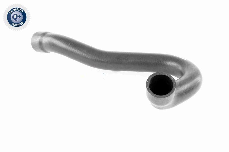 VAICO V30-0722 K&uuml;hlerschlauch K&uuml;hler, Anschlu&szlig; unten f&uuml;r MERCEDES-BENZ