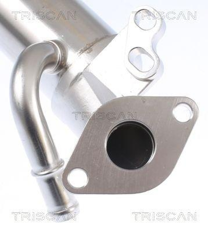 TRISCAN 8813 16110 K&uuml;hler, Abgasr&uuml;ckf&uuml;hrung f&uuml;r Ford