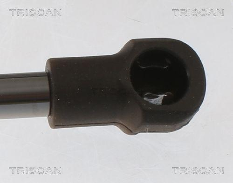 TRISCAN 8710 25233 Gasfeder Hinten f&uuml;r Renault Modus