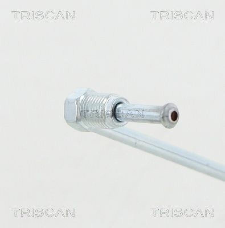 TRISCAN Bremsschlauch 815029289