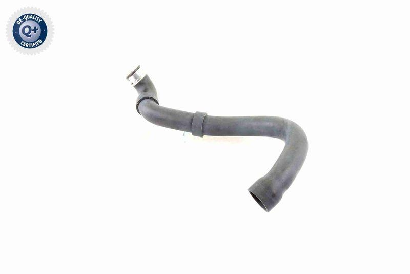 VAICO V30-1661 K&uuml;hlerschlauch K&uuml;hler, Anschlu&szlig; unten f&uuml;r MERCEDES-BENZ