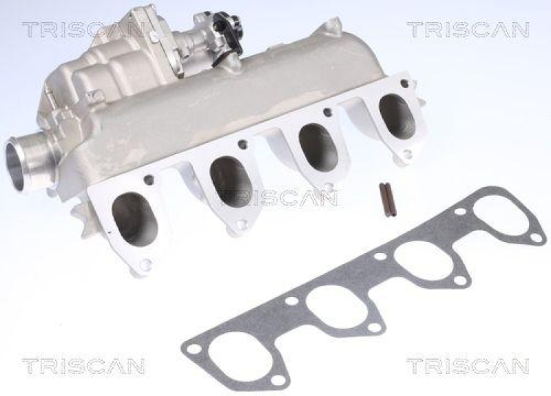 TRISCAN 8813 16160 Agr Ventil f&uuml;r Ford