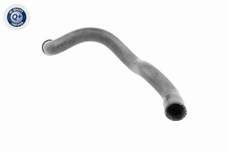 VAICO V30-1663 K&uuml;hlerschlauch K&uuml;hler, Anschlu&szlig; oben f&uuml;r MERCEDES-BENZ