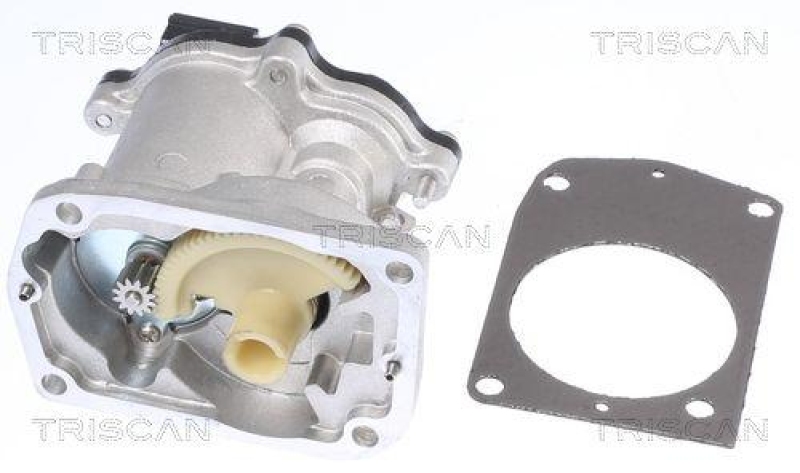 TRISCAN 8813 16201 Agr Ventil f&uuml;r Ford