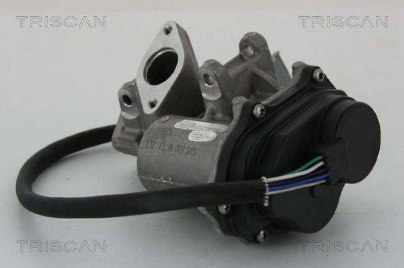 TRISCAN 8813 17019 Agr Ventil f&uuml;r Ford/Landrover