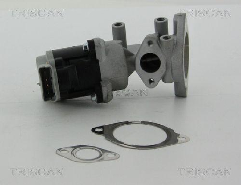 TRISCAN 8813 17020 Agr Ventil f&uuml;r Ford/Landrover